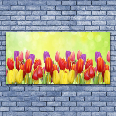 Leinwand-Bilder Tulpen Pflanzen