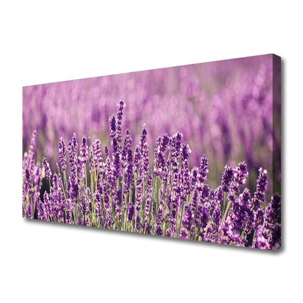 Leinwand-Bilder Blumen Pflanzen