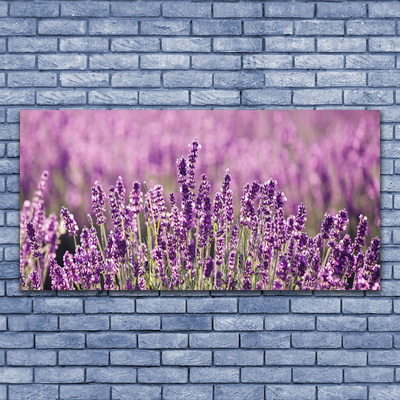 Leinwand-Bilder Blumen Pflanzen