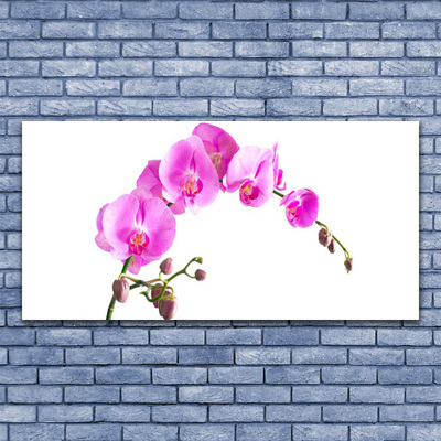 Leinwand-Bilder Blumen Pflanzen