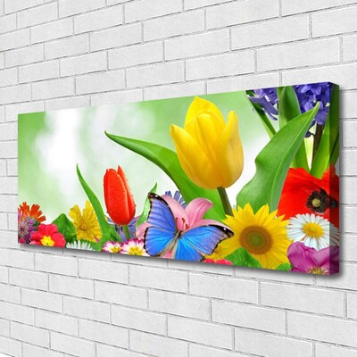 Leinwand-Bilder Schmetterling Blumen Natur