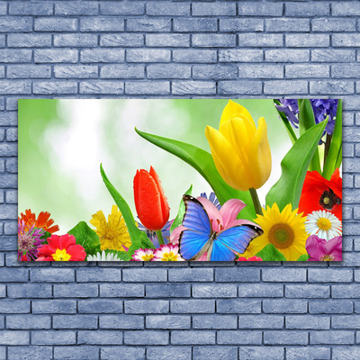 Leinwand-Bilder Schmetterling Blumen Natur