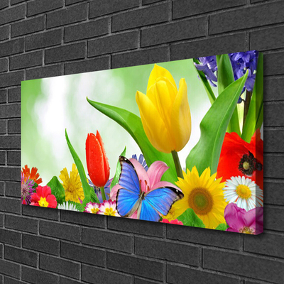 Leinwand-Bilder Schmetterling Blumen Natur