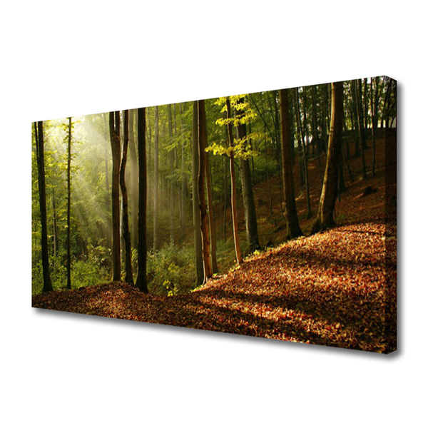 Leinwand-Bilder Wald Natur