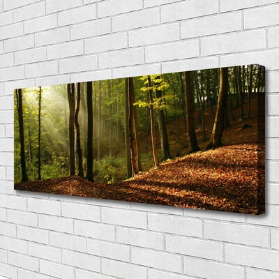 Leinwand-Bilder Wald Natur