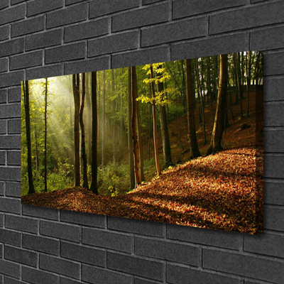 Leinwand-Bilder Wald Natur