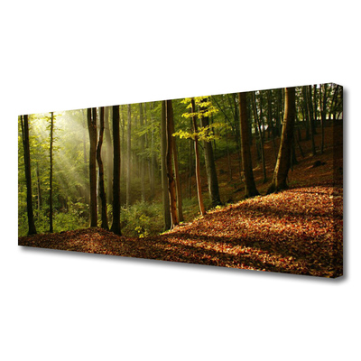 Leinwand-Bilder Wald Natur