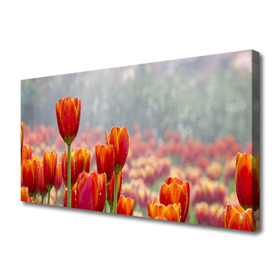 Leinwand-Bilder Tulpen Pflanzen