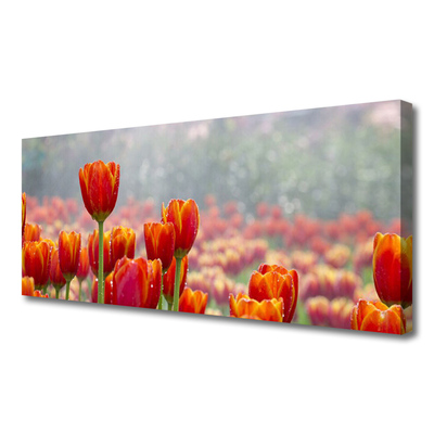 Leinwand-Bilder Tulpen Pflanzen