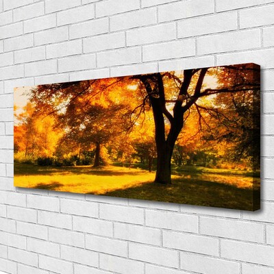 Leinwand-Bilder Bäume Natur