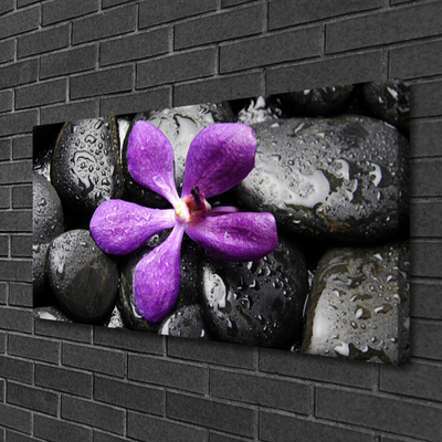 Leinwand-Bilder Blume Steine Kunst