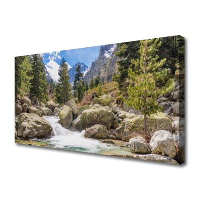 Leinwand-Bilder Gebirge Wald Steine See Natur