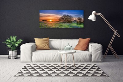 Leinwand-Bilder Wiese Sonne Landschaft