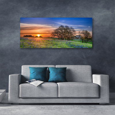 Leinwand-Bilder Wiese Sonne Landschaft