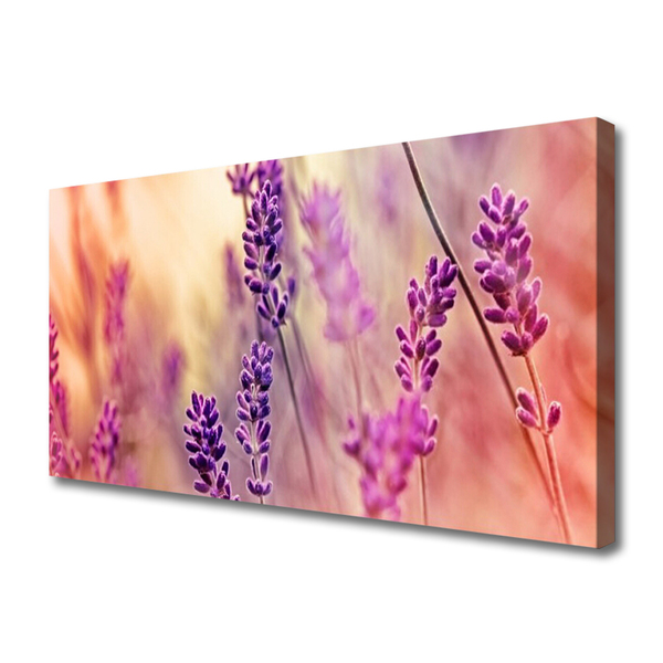 Leinwand-Bilder Blumen Pflanzen