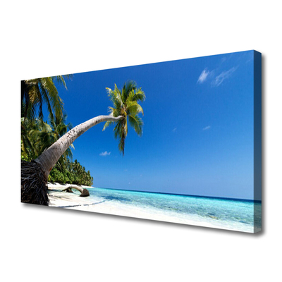 Leinwand-Bilder Strand Palme Meer Landschaft