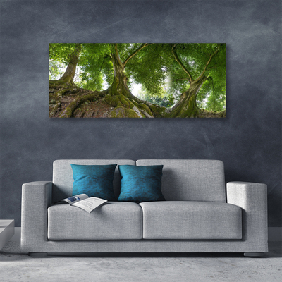 Leinwand-Bilder Bäume Natur