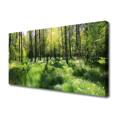 Leinwand-Bilder Wald Natur