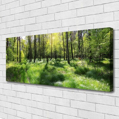 Leinwand-Bilder Wald Natur