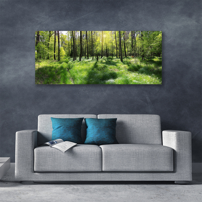 Leinwand-Bilder Wald Natur