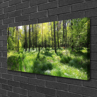 Leinwand-Bilder Wald Natur