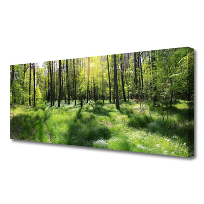 Leinwand-Bilder Wald Natur