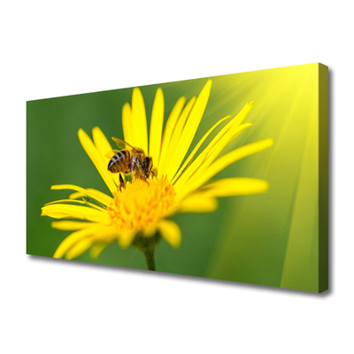 Leinwand-Bilder Wespe Blume Pflanzen