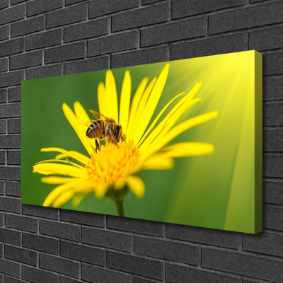 Leinwand-Bilder Wespe Blume Pflanzen