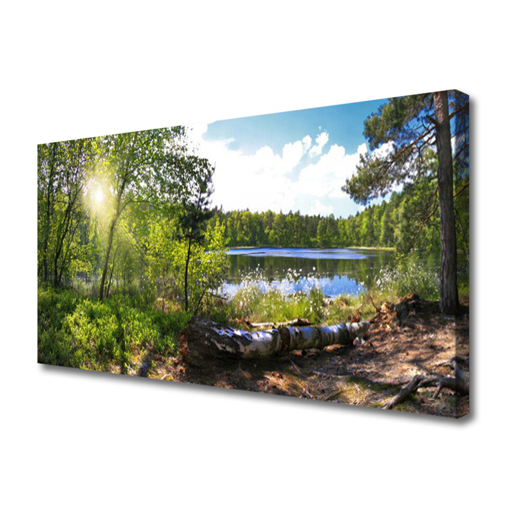 Tulup Leinwand-Bilder Wandbild Leinwandbild 140x70 Wald Natur