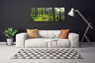 Leinwand-Bilder Wald Natur