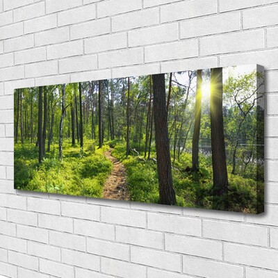 Leinwand-Bilder Wald Natur