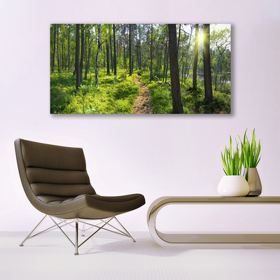 Leinwand-Bilder Wald Natur