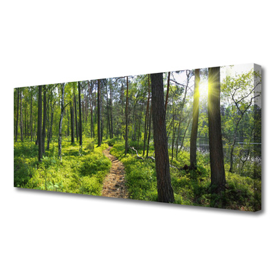 Leinwand-Bilder Wald Natur