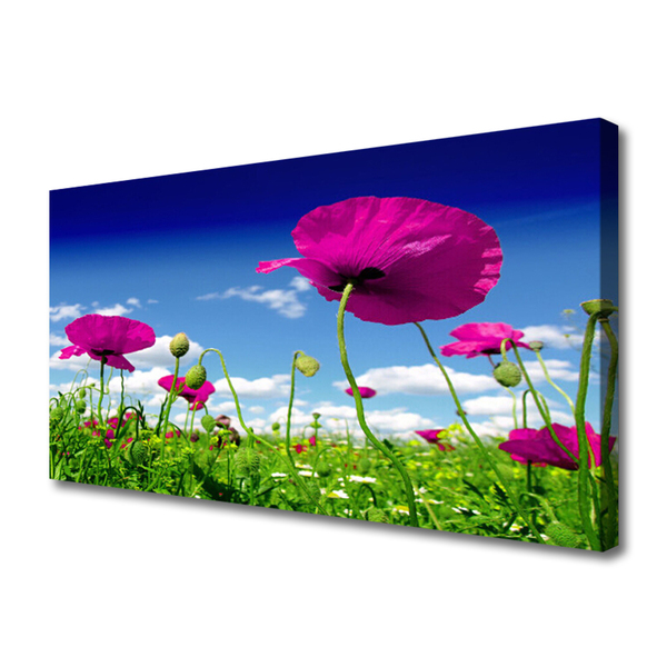 Leinwand-Bilder Wiese Blumen Natur