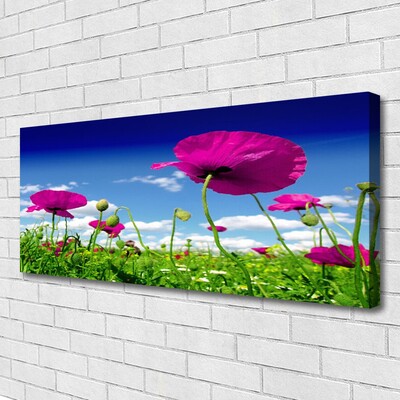 Leinwand-Bilder Wiese Blumen Natur