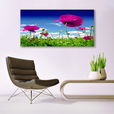 Leinwand-Bilder Wiese Blumen Natur