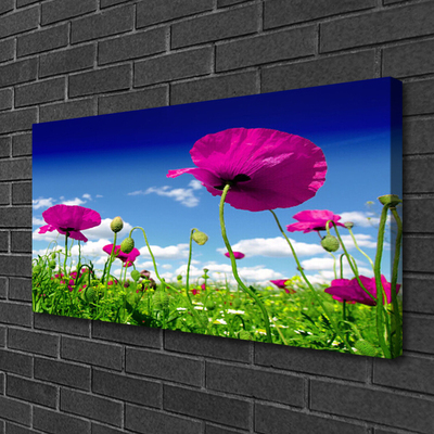 Leinwand-Bilder Wiese Blumen Natur