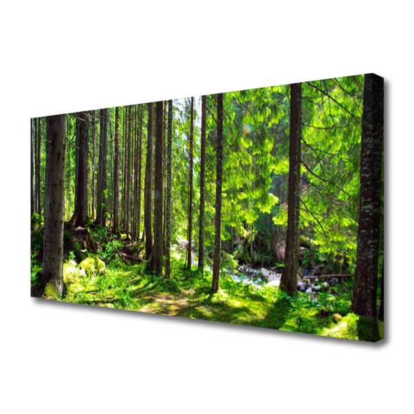 Leinwand-Bilder Wald Natur