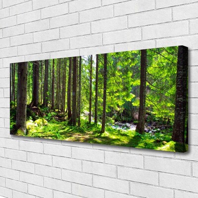 Leinwand-Bilder Wald Natur