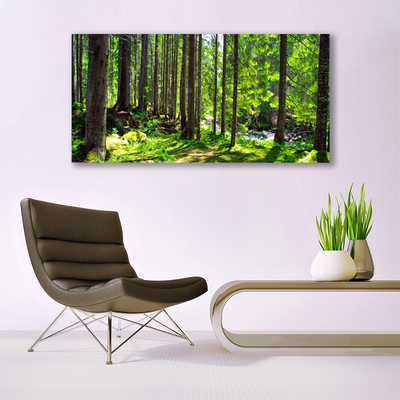 Leinwand-Bilder Wald Natur