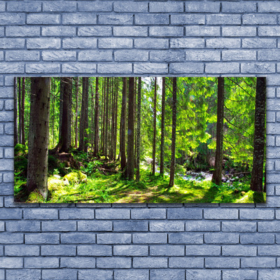 Leinwand-Bilder Wald Natur