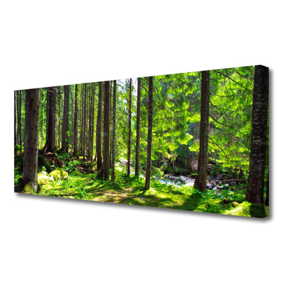 Leinwand-Bilder Wald Natur