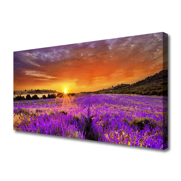 Leinwand-Bilder Sonne Wiese Blumen Natur