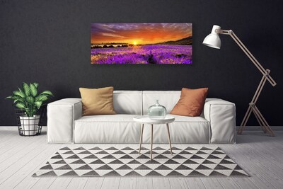 Leinwand-Bilder Sonne Wiese Blumen Natur