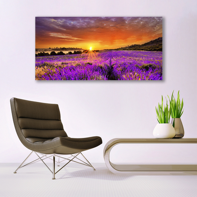 Leinwand-Bilder Sonne Wiese Blumen Natur