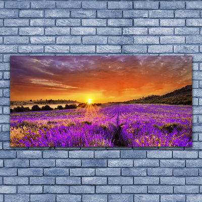 Leinwand-Bilder Sonne Wiese Blumen Natur