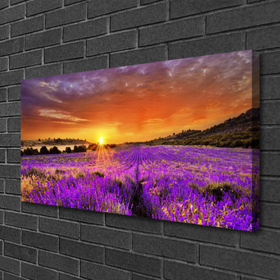 Leinwand-Bilder Sonne Wiese Blumen Natur