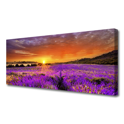 Leinwand-Bilder Sonne Wiese Blumen Natur