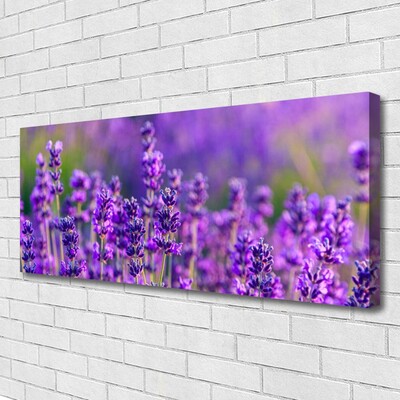 Leinwand-Bilder Blumen Pflanzen