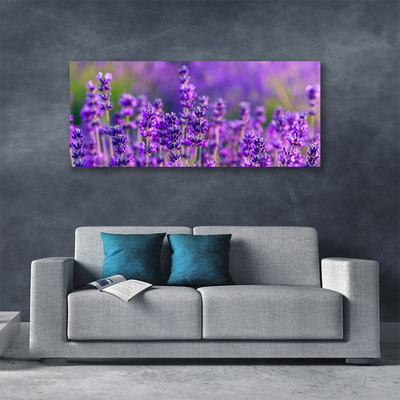 Leinwand-Bilder Blumen Pflanzen